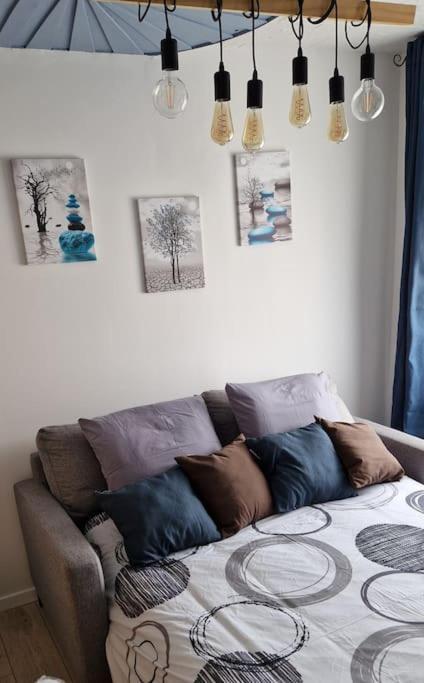 Nemo Petit Studio Cosy. Urville (Aube) Exterior foto